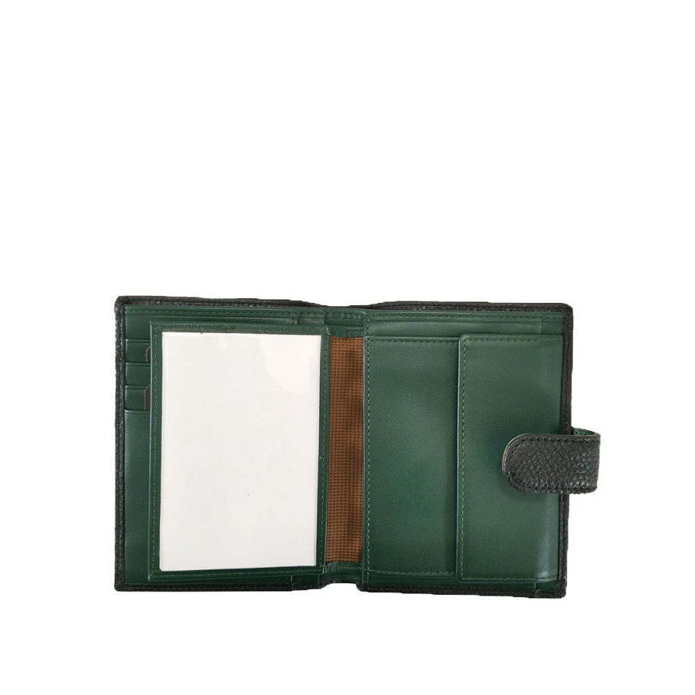 Портмоне мужское PASSARELLI PI-6006A/G